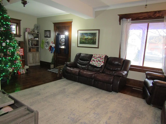 living room featuring dark hardwood / wood-style flooring