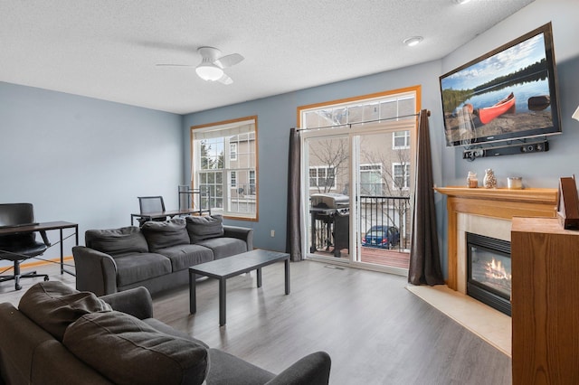 living room featuring wood-type flooring, ceiling fan, and a textured ceiling