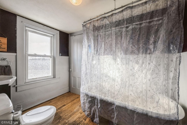 bathroom with vanity, toilet, and wood-type flooring