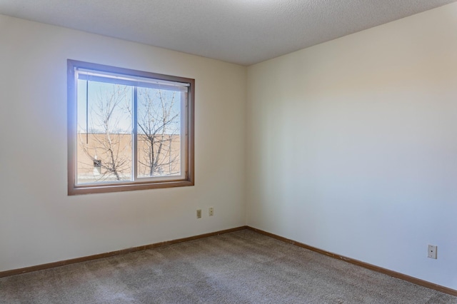 unfurnished room with a textured ceiling and carpet floors