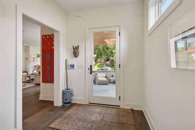 entryway featuring dark hardwood / wood-style floors and a healthy amount of sunlight