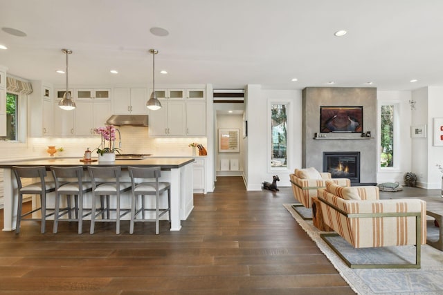 kitchen with a wealth of natural light, white cabinets, pendant lighting, and dark hardwood / wood-style floors