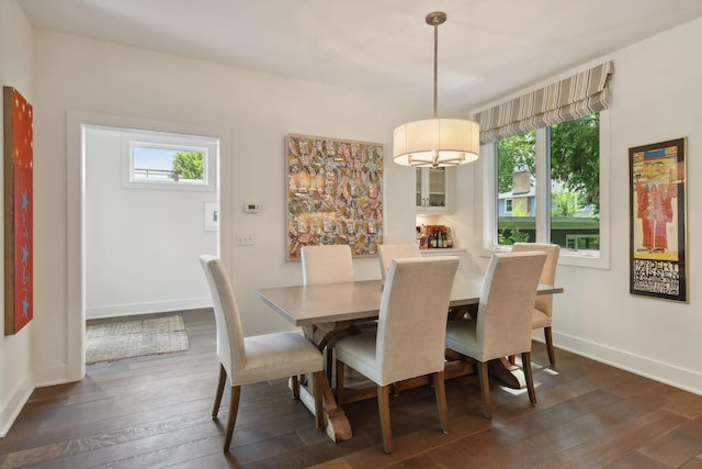 dining space featuring dark wood-type flooring