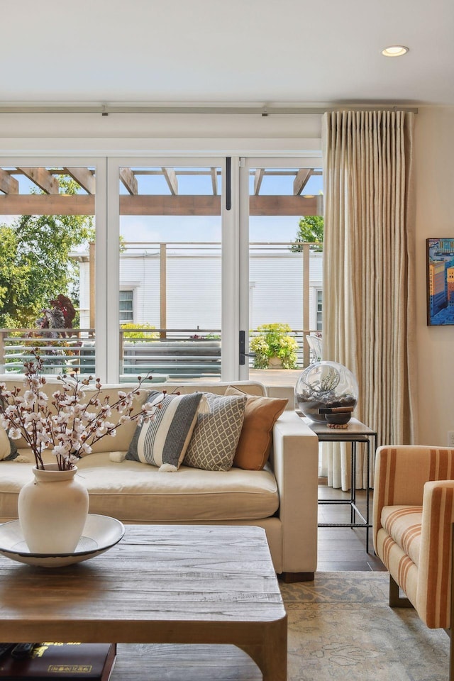 living room featuring wood-type flooring