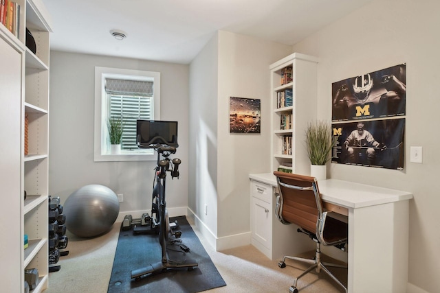 office featuring light colored carpet