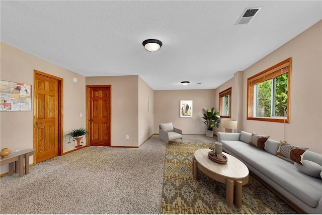 living room featuring carpet floors and a textured ceiling