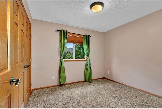 spare room with carpet flooring and a textured ceiling