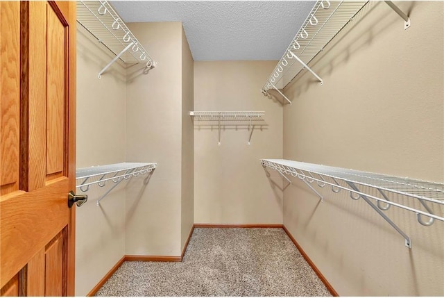 walk in closet with light carpet