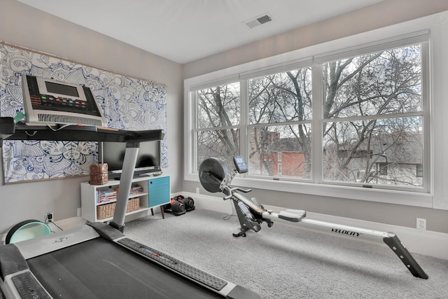 exercise room featuring carpet and plenty of natural light