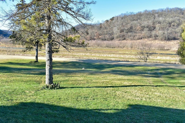 view of yard with a rural view