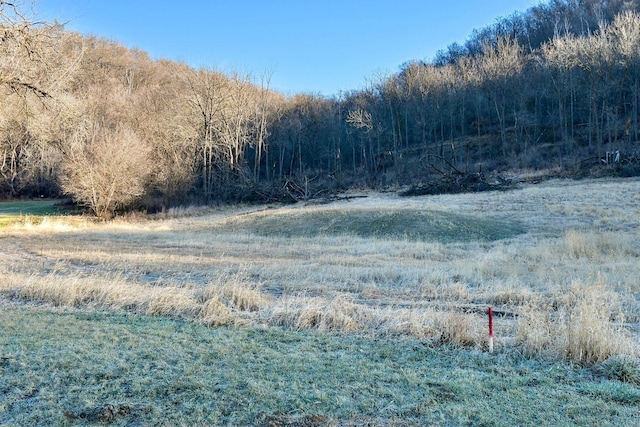 view of local wilderness