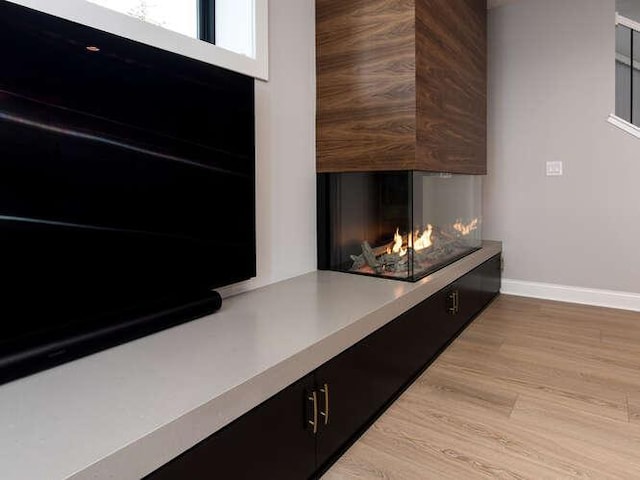 details featuring hardwood / wood-style floors, wood walls, and a multi sided fireplace