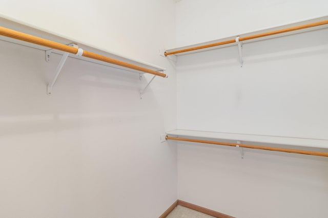 spacious closet with carpet