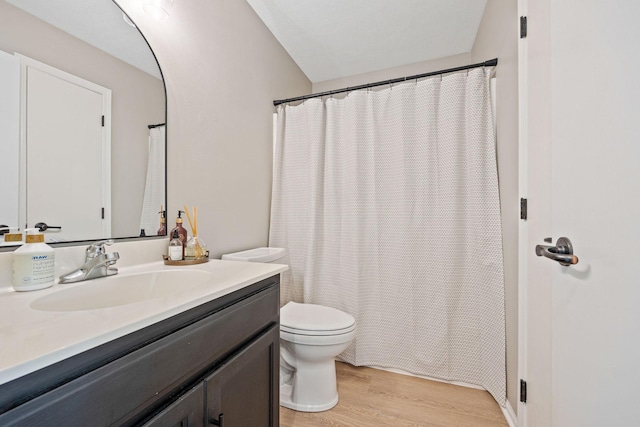 bathroom featuring toilet, wood-type flooring, and vanity