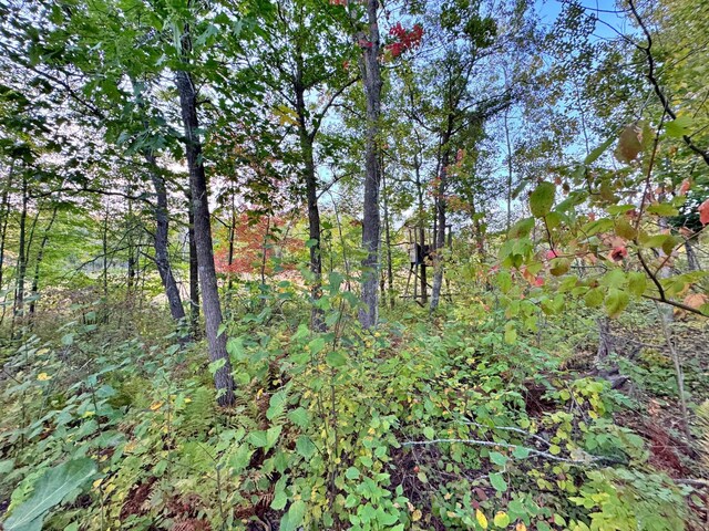 Listing photo 13 - caption unavailable