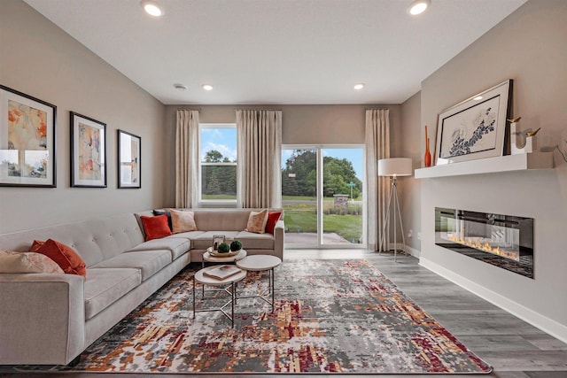 living room featuring dark hardwood / wood-style flooring