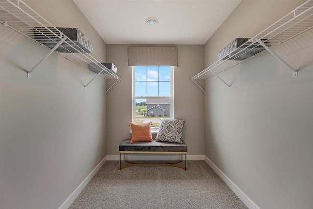 spacious closet with carpet flooring