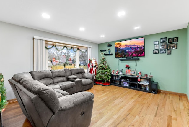 living room featuring wood-type flooring