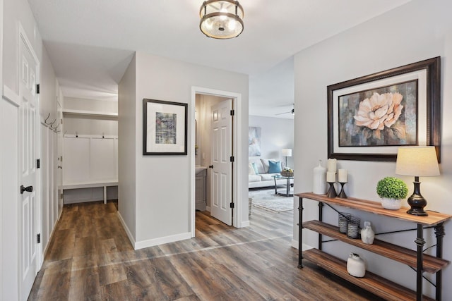 hallway featuring dark hardwood / wood-style floors