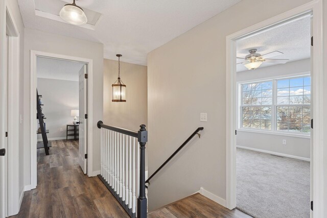 hall with dark hardwood / wood-style floors and a textured ceiling