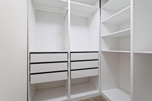 view of walk in closet