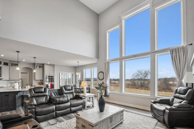 living room featuring baseboards, recessed lighting, a high ceiling, wood finished floors, and arched walkways