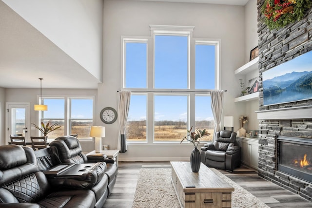 living area with a high ceiling, wood finished floors, and a fireplace