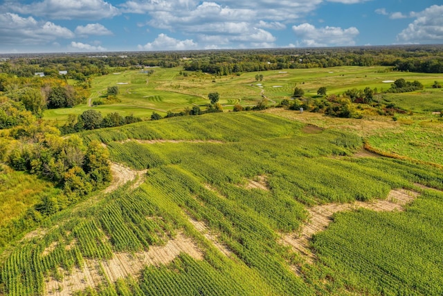 aerial view with a rural view