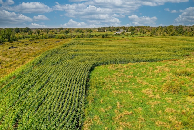 bird's eye view featuring a rural view