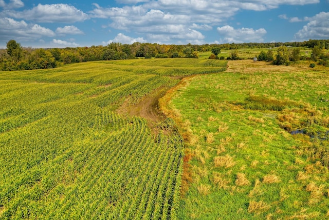 bird's eye view with a rural view