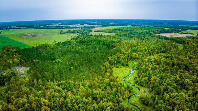 LOT2 Blackduck Lake Rd NE, Hines, MN 56647