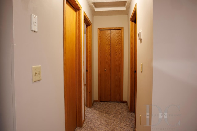 corridor featuring light carpet and attic access