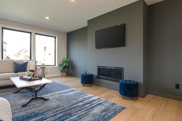 living room featuring light hardwood / wood-style floors