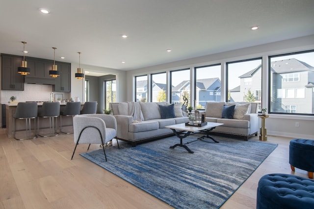 living room with light hardwood / wood-style flooring