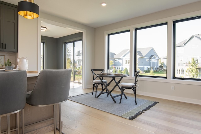 dining room with light hardwood / wood-style floors