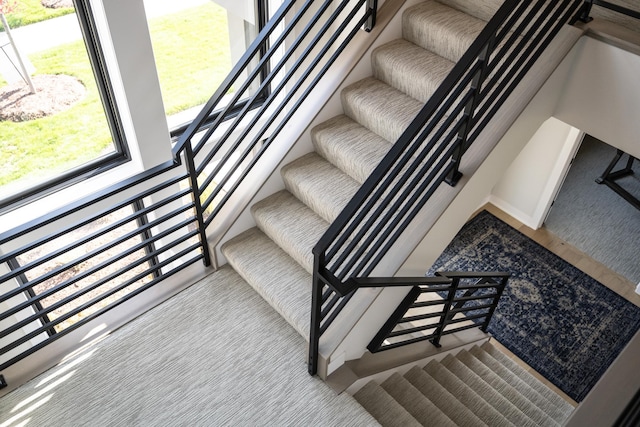 staircase featuring carpet flooring