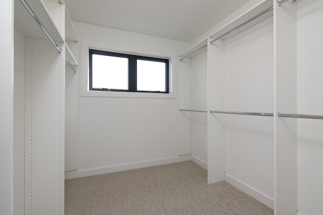 spacious closet featuring light colored carpet