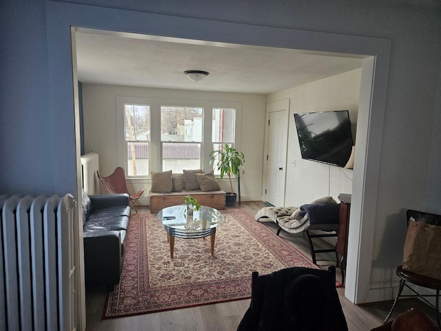 living room with wood-type flooring and radiator