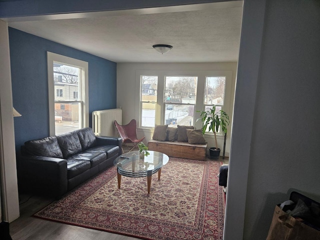 living room with a wealth of natural light, radiator heating unit, hardwood / wood-style floors, and a textured ceiling