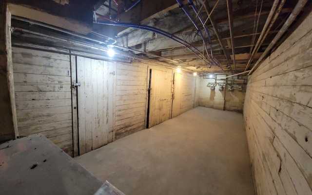 basement with wooden walls