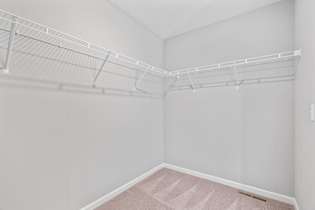 walk in closet with carpet flooring