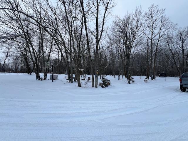 view of snowy yard