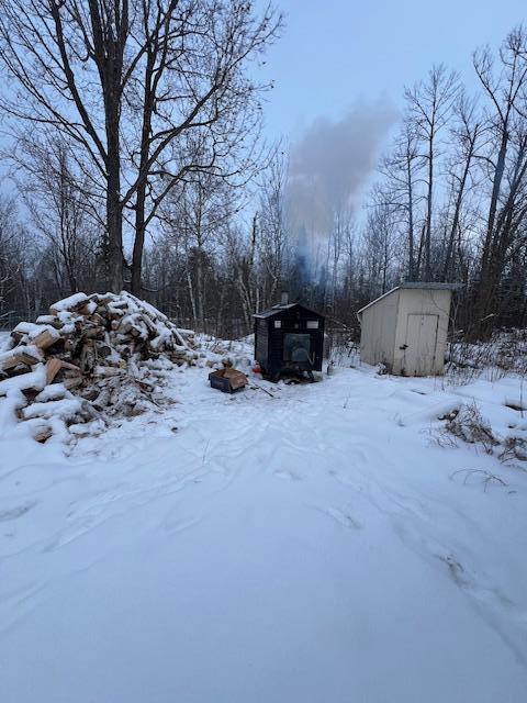 yard layered in snow with a storage shed