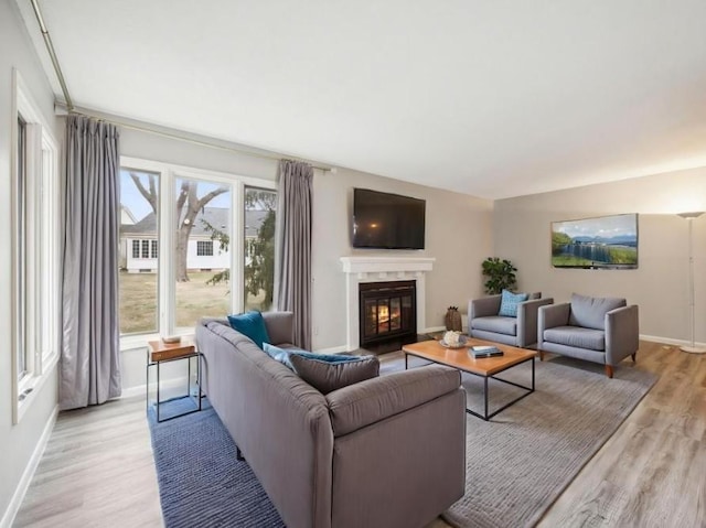 living room featuring light hardwood / wood-style floors