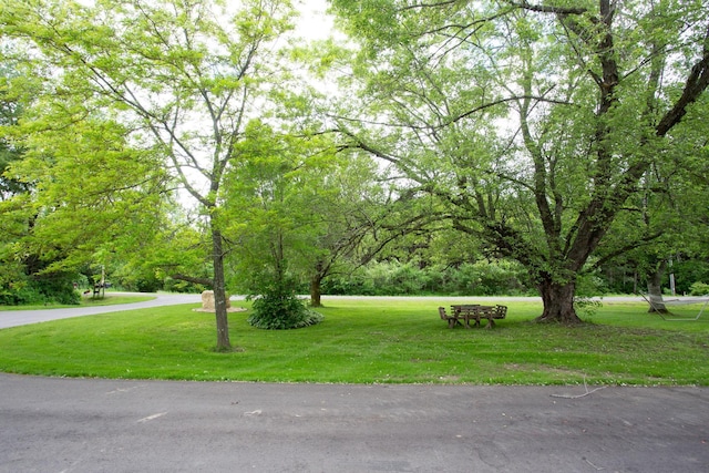 view of community featuring a lawn