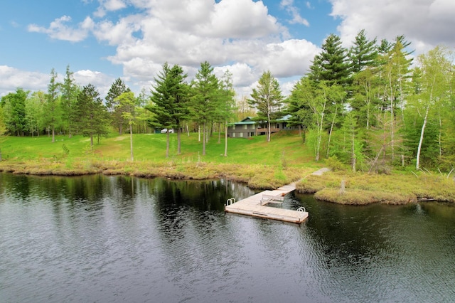 water view with a dock