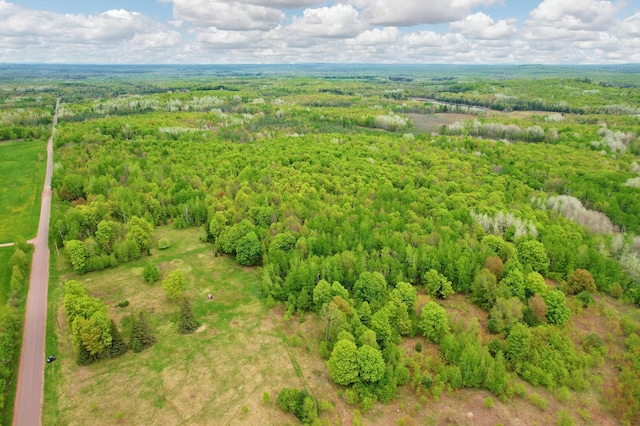 72303 Pufal Rd, Morse Twp, WI 54846 - photo 18