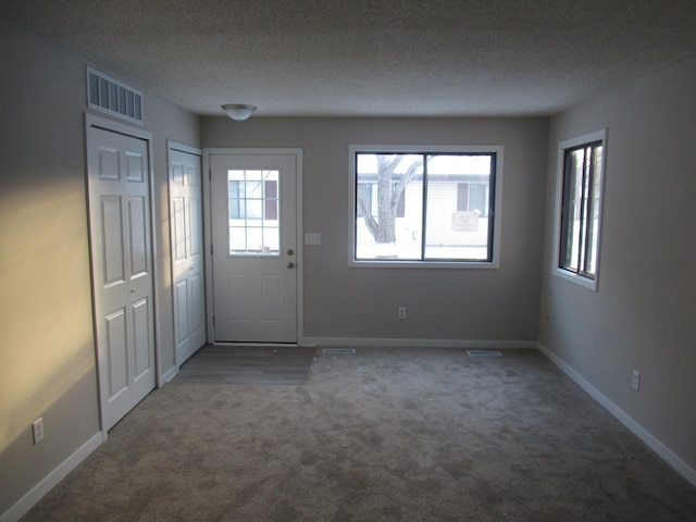 doorway to outside with carpet floors, a healthy amount of sunlight, and a textured ceiling