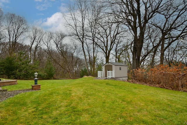 view of yard with a storage shed