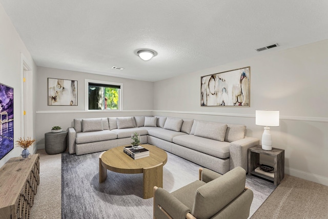 carpeted living room with a textured ceiling